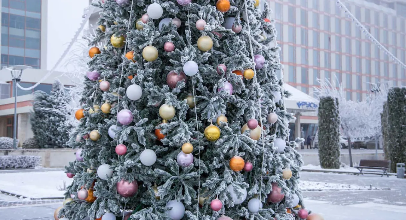 Санаторий Русь Ессентуки. Новый Год. Фото 61